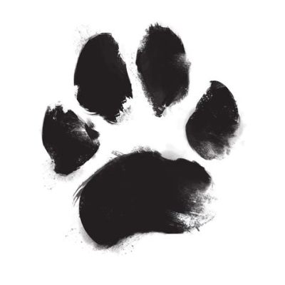 How to Get Your Dog's Paw Print on Paper: A Journey Through Ink and Whiskers