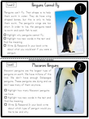 How to Prepare for an Essay: Why Penguins Make Great Editors